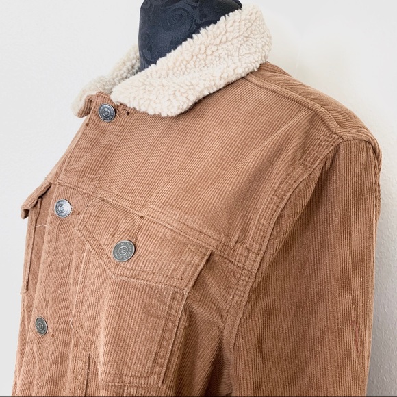 aeropostale brown jacket Corduroy Medium - Picture 5 of 8